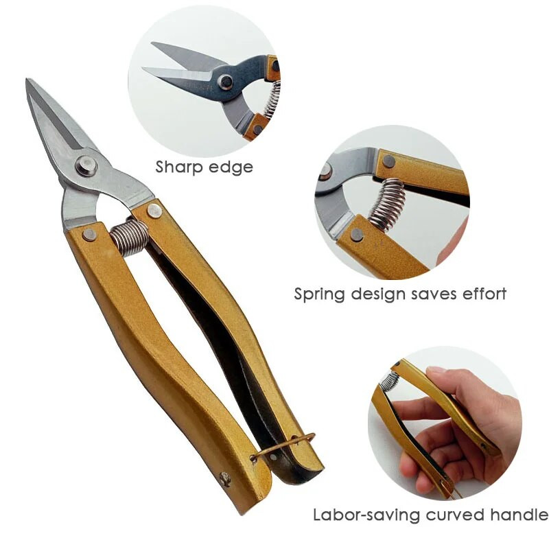 Alat za vrtlarstvo Mini škare za bonsai Škare za grane Vrtne škare za orezivanje Alati za bonsai Škare Pribor za obrezivanje