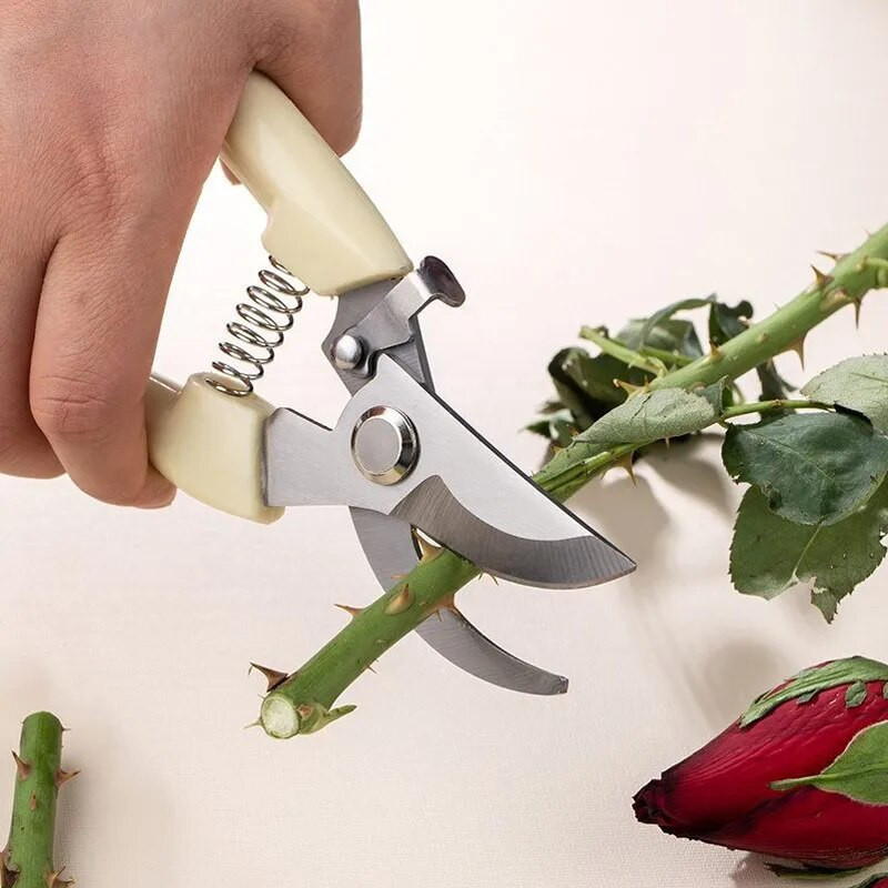 Vrtne škare za rezidbu Ručni alati Bonsai za vrtlarstvo Nehrđajući čelik Vrtlarske škare za rezidbu Škare za cvijeće Grane Trava