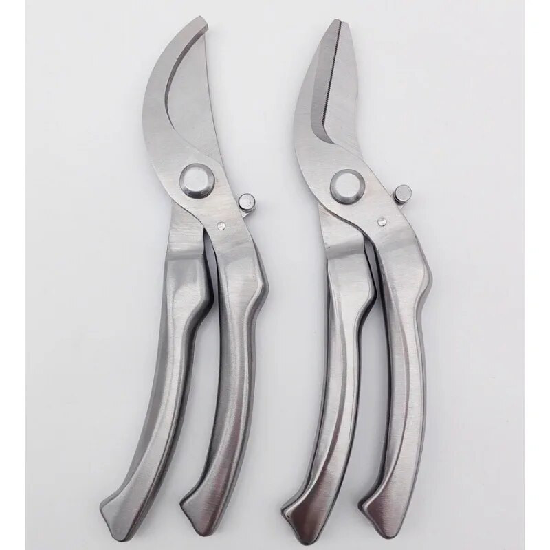 Vrtne škare visoke kvalitete Vrtne škare Škare za obrezivanje Berba voća Izdržljivi materijal od nehrđajućeg čelika