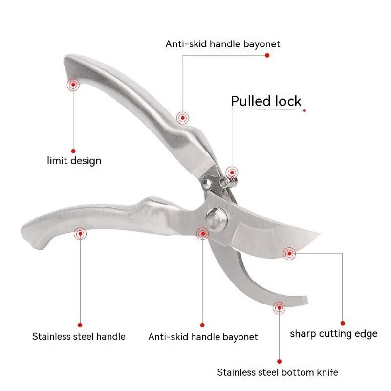 Vrtne škare visoke kvalitete Vrtne škare Škare za obrezivanje Berba voća Izdržljivi materijal od nehrđajućeg čelika