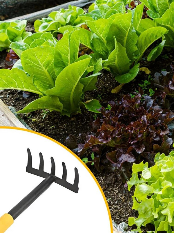 Alat za uklanjanje korova Čelični alat za uklanjanje korova s 5 zuba Dvonamjenski alat za ručno uklanjanje korova za vrt