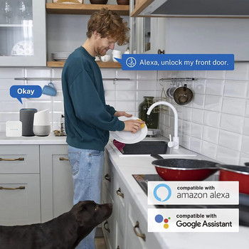 TTLOCK APP G2/G3 WiFi Gateway Hub για Έξυπνο κλείδωμα πόρτας Ξεκλείδωμα μετατροπέα Bluetooth σε Wi-Fi Ο έλεγχος φωνής λειτουργεί με την Alexa Home