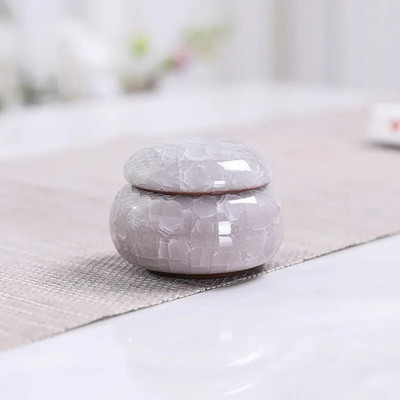 Kućna zatvorena staklenka čaja Kanister kave u prahu Kineska keramika Čaj Caddy Putna vrećica čaja Kuhinjski spremnici za začine Spremnik za pohranu slatkiša