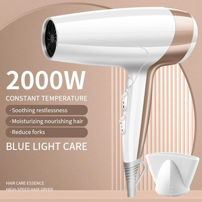 220V sušilo za kosu Profesionalno 2000W snažno puhanje sušilo za kosu Četka za frizerske brijačke salone Alati Sušilo za kosu Lagano tijelo