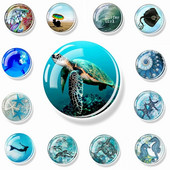 Sea Turtle Fridge Magnet Shark Dolphin Starfish Seahorse 30mm Γυάλινο Μαγνητικό Αυτοκόλλητο Διακοσμητικό Ψυγείο Αναμνηστικά Ωκεανού