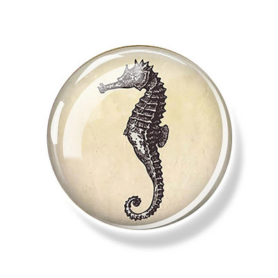 Sea Turtle Fridge Magnet Shark Dolphin Starfish Seahorse 30mm Γυάλινο Μαγνητικό Αυτοκόλλητο Διακοσμητικό Ψυγείο Αναμνηστικά Ωκεανού