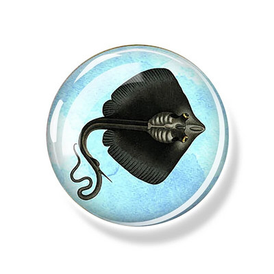 Sea Turtle Fridge Magnet Shark Dolphin Starfish Seahorse 30mm Γυάλινο Μαγνητικό Αυτοκόλλητο Διακοσμητικό Ψυγείο Αναμνηστικά Ωκεανού