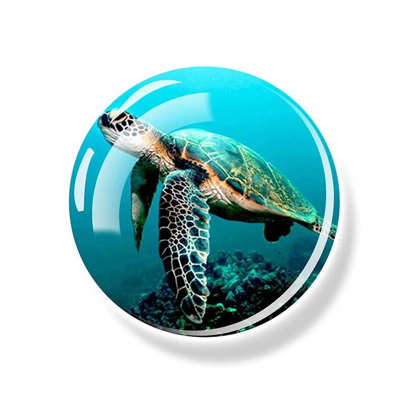 Морска костенурка Магнит за хладилник Акула Делфин Морска звезда Морско конче 30MM Стъклен магнитен стикер Декоративен хладилник Океански сувенири