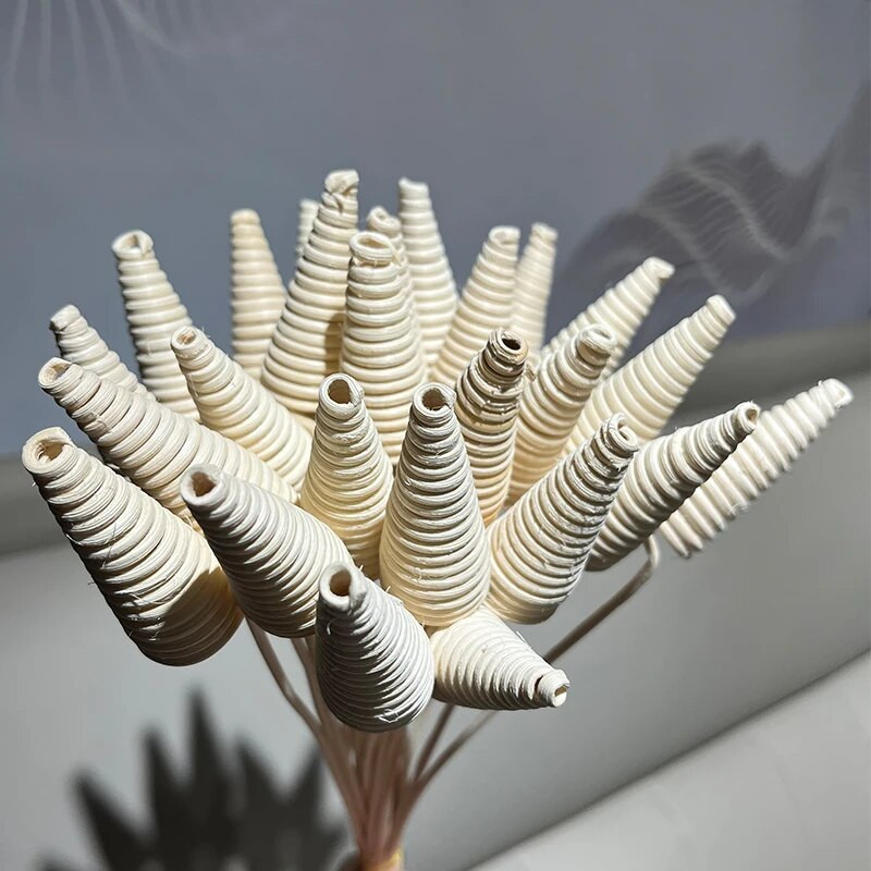 10 бр. 25 см къдрави ратанови пръчици Ароматерапевтична летлива пръчица Тръстикови дифузьорни пръчици Ароматно масло за дома Летливи аксесоари