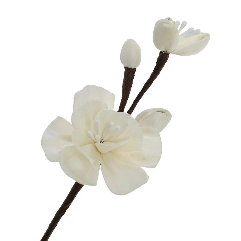 1PC Многоглави сливови клонки Без огън Ароматерапевтичен ратан Направи си сам изсушени цветя Дифузор от тръстика Орнамент за декорация на дома