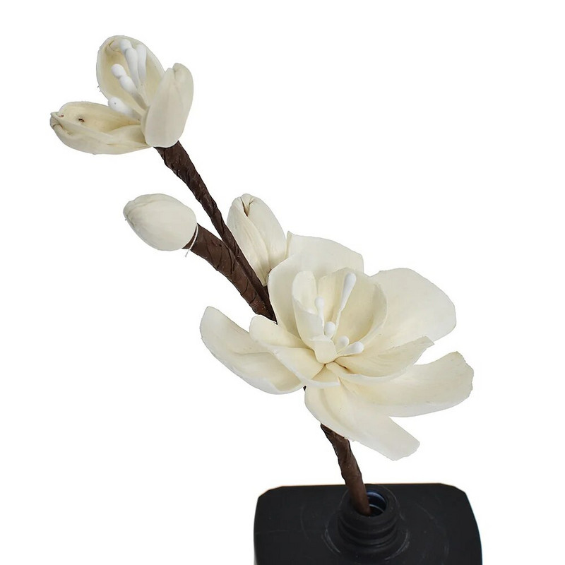 1PC Многоглави сливови клонки Без огън Ароматерапевтичен ратан Направи си сам изсушени цветя Дифузор от тръстика Орнамент за декорация на дома