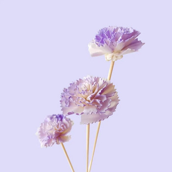 10PCS Лилаво цвете от карамфил Ратанови пръчки Без огън Аромати Тръстиков дифузьор Пръчка Направи си сам Орнаменти Домашен декор