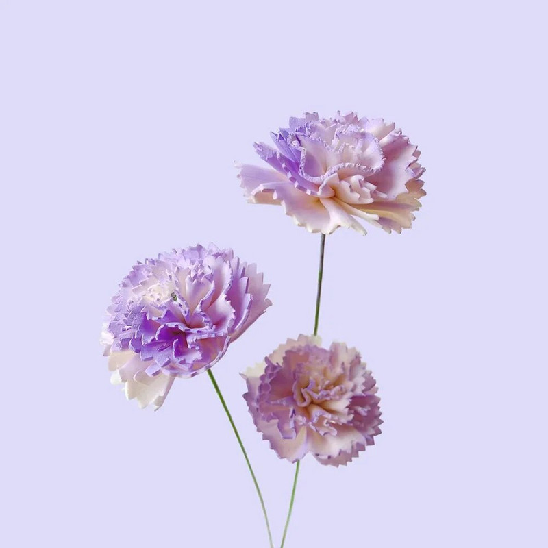 10 vnt Violetinių gvazdikų gėlių rotango lazdelės be ugnies kvepalų nendrių difuzoriaus lazdelės pasidaryk pats papuošalai namų dekoravimui