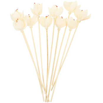 10 τμχ Aromatherapy Rattan Diffuser Sticks Artificial Flowers Essential Oil Diffusers dryed