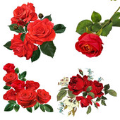 C246# Αυτοκόλλητο τοίχου Passionate Rose Decals μπάνιου Τουαλέτας Ντουλάπα σαλονιού Διακόσμηση σπιτιού Αυτοκόλλητη τοιχογραφία