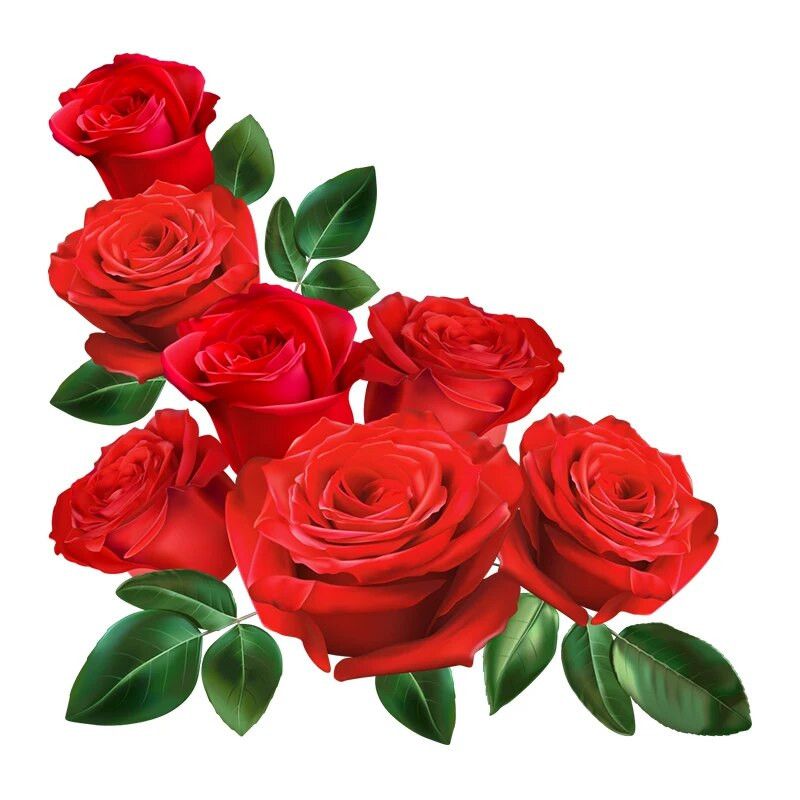 C246# Aistringos rožės sienos lipdukas Vonios kambario tualeto dekoro lipdukai Svetainės spintelės namų apdaila Lipni freska