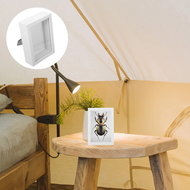 Retro ajándékok rovarvitrin tárolódoboz mintakeret kijelző fehér pillangók árnyék