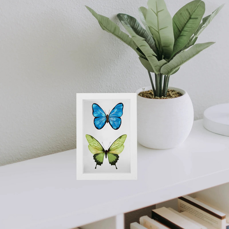 Retro ajándékok rovarvitrin tárolódoboz mintakeret kijelző fehér pillangók árnyék