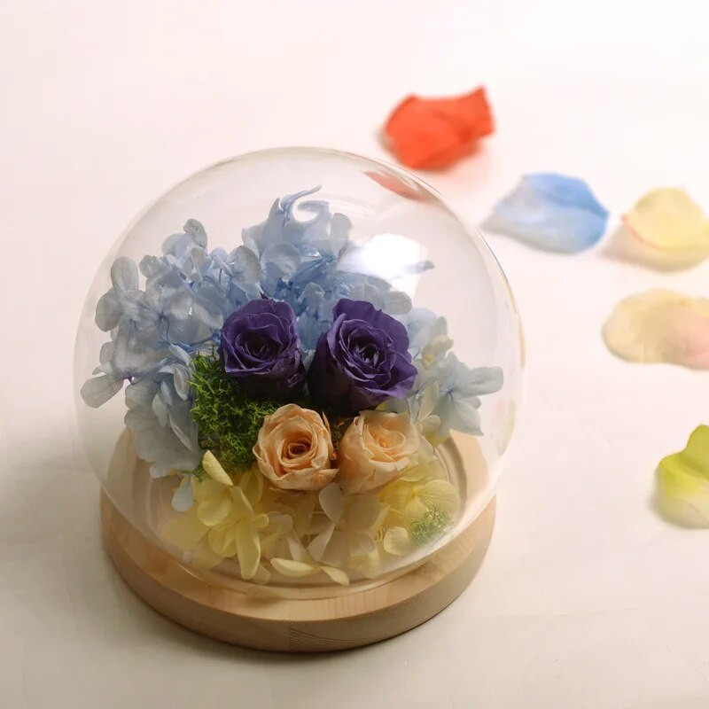 Dekoratív üvegkupola fa parafa harang tégely fedővel Cloche kijelző Barkácsolás mikro-táji növény tündéri fények tartó dekor kézműves