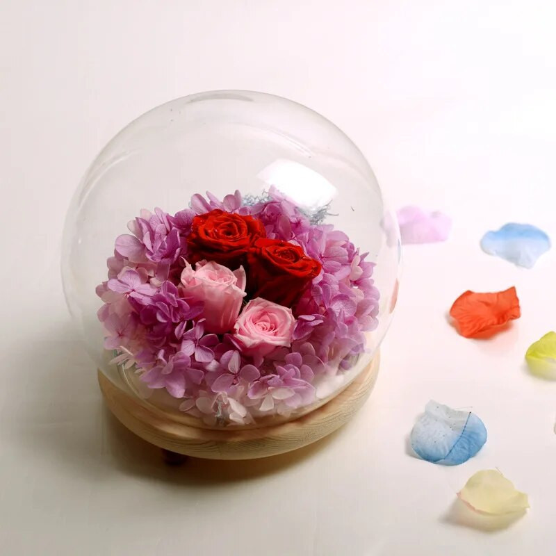 Dekoratív üvegkupola fa parafa harang tégely fedővel Cloche kijelző Barkácsolás mikro-táji növény tündéri fények tartó dekor kézműves