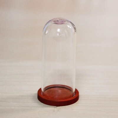 1 X Mix Size Clear Glass Dome Cover Terrarium Cloche Bell Jar με ξύλινη/φελλό/μεταλλική βάση κούκλα Παιχνίδι σπιτιού Διακόσμηση δωματίου μελέτης
