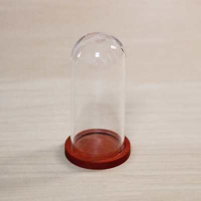 1 X Mix Size Clear Glass Dome Cover Terrarium Cloche Bell Jar με ξύλινη/φελλό/μεταλλική βάση κούκλα Παιχνίδι σπιτιού Διακόσμηση δωματίου μελέτης