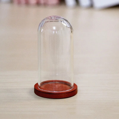 1 X Mix Size Clear Glass Dome Cover Terrarium Cloche Bell Jar με ξύλινη/φελλό/μεταλλική βάση κούκλα Παιχνίδι σπιτιού Διακόσμηση δωματίου μελέτης