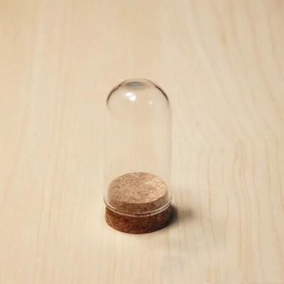 1 X Mix Size Clear Glass Dome Cover Terrarium Cloche Bell Jar με ξύλινη/φελλό/μεταλλική βάση κούκλα Παιχνίδι σπιτιού Διακόσμηση δωματίου μελέτης