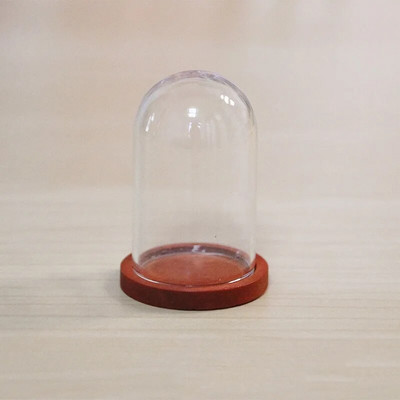 1 X Mix Size Clear Glass Dome Cover Terrarium Cloche Bell Jar με ξύλινη/φελλό/μεταλλική βάση κούκλα Παιχνίδι σπιτιού Διακόσμηση δωματίου μελέτης