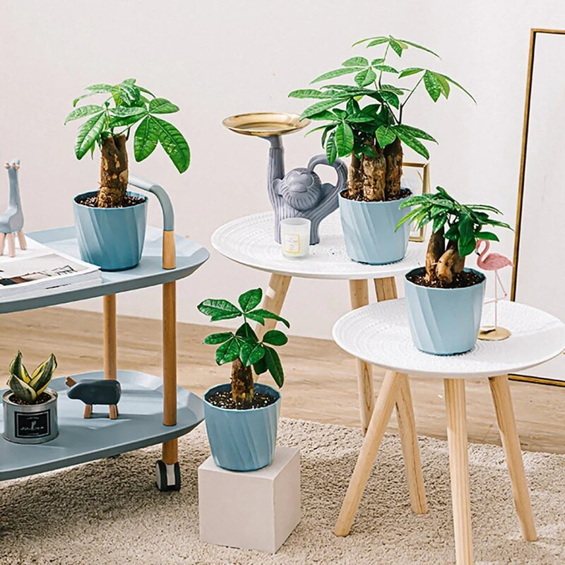 Pozsgás növények Virágcserepek Műanyag ültetőgépek vízelvezető lyukakkal és csészealjakkal beltéri kültéri növényekhez és virágokhoz