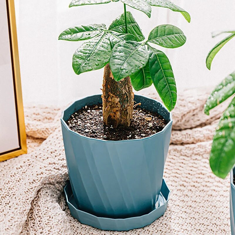 Pozsgás növények Virágcserepek Műanyag ültetőgépek vízelvezető lyukakkal és csészealjakkal beltéri kültéri növényekhez és virágokhoz