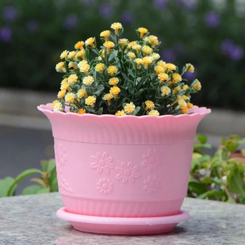PP Ανθεκτική γλάστρα φυτών Αρκετά μονόχρωμη εκτύπωση Παχύρρευστα πράσινα ραπανάκια σαρκώδεις γλάστρες λουλουδιών με δίσκο Εργαλείο οικιακού κήπου