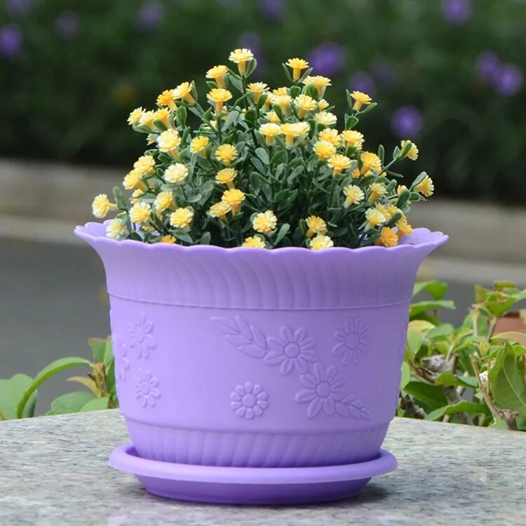 PP patvarūs augalų gėlių vazonai Gana vientisa spalvota spauda Sustorėję žali ridikai Mėsingi gėlių vazonai su dėklu namų sodo įrankiu