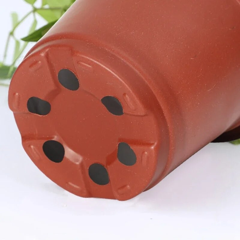50/20db Műanyag virágcserepek Egyszerű facsemete cserepes virágok Vetőmagnemesítő ültetőgépek Konténer doboz Kerti kellékek eszköz