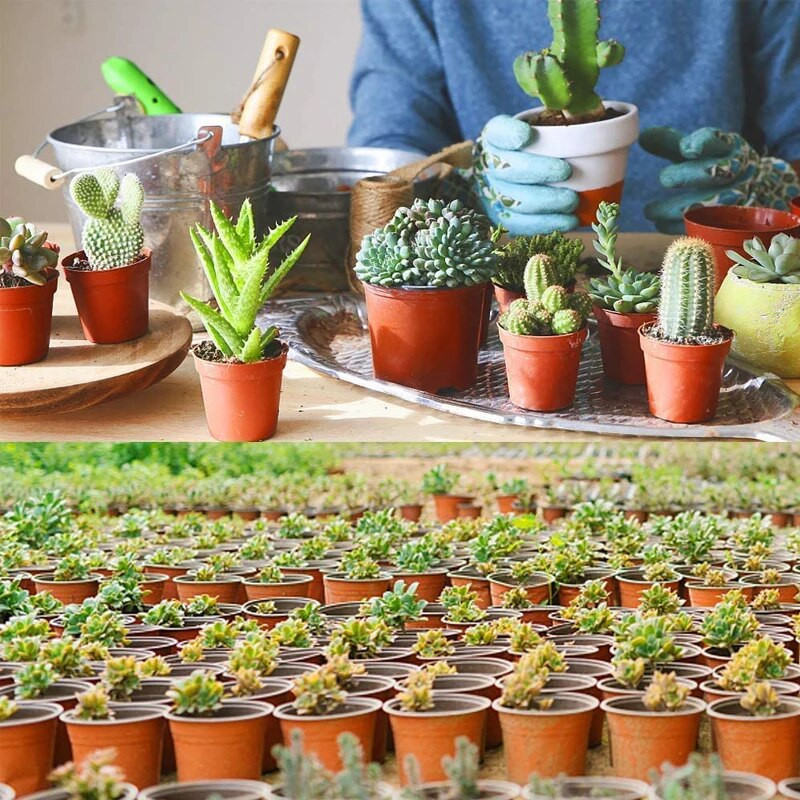 75 db 4"-es műanyag virágcserepek vetőmagszaporító cserepes, kerek növénytermesztő tartály zamatos házi kerti kellékek átültetéséhez