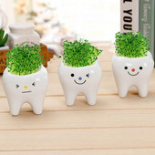 Cute Tooth Γλάστρες Κεραμικές γλάστρες κήπου Ζαρντινιέρες Ζουμερά βάζα κάκτου Διακόσμηση σπιτιού κήπου Διακοσμητική επιτραπέζια γλάστρα φυτών