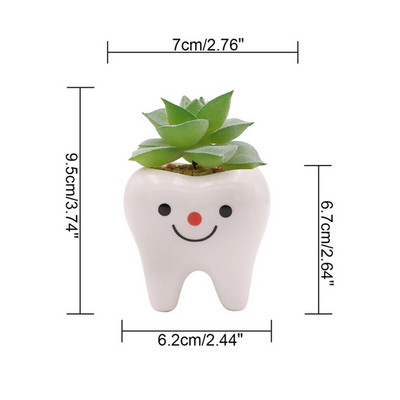Cute Tooth Γλάστρες Κεραμικές γλάστρες κήπου Ζαρντινιέρες Ζουμερά βάζα κάκτου Διακόσμηση σπιτιού κήπου Διακοσμητική επιτραπέζια γλάστρα φυτών