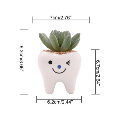 Cute Tooth Γλάστρες Κεραμικές γλάστρες κήπου Ζαρντινιέρες Ζουμερά βάζα κάκτου Διακόσμηση σπιτιού κήπου Διακοσμητική επιτραπέζια γλάστρα φυτών