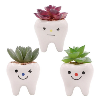 Cute Tooth Γλάστρες Κεραμικές γλάστρες κήπου Ζαρντινιέρες Ζουμερά βάζα κάκτου Διακόσμηση σπιτιού κήπου Διακοσμητική επιτραπέζια γλάστρα φυτών