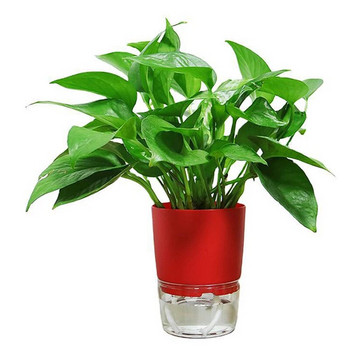 1 τεμ. γλάστρα φυτών αυτοποτιζόμενη Διαφανής πλαστική γλάστρα διπλής στρώσης αποθήκευσης νερού αυτόματη απορρόφηση νερού γλάστρα