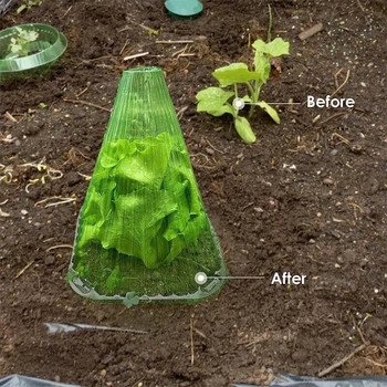 5Pcs Growth Box Квадратна палатка за многократна употреба Използвайте растителен часовник, за да предпазите растенията от замръзване на птици и щети от охлюви Зелено