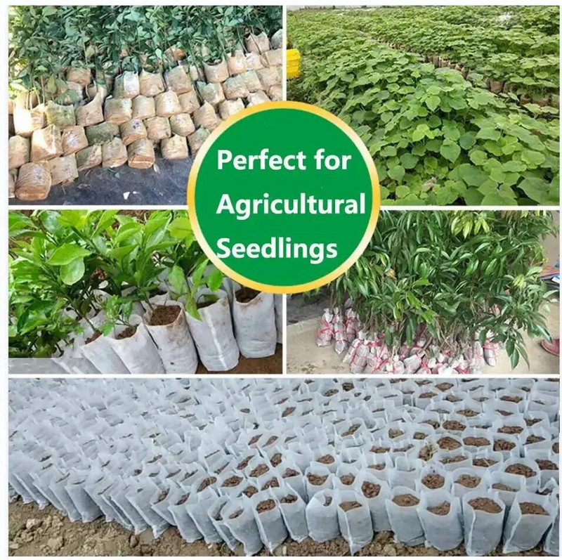 50 vnt. persodinamas medelyno maišelis Biologiškai skaidus neaustinis sėklų auginimo maišelis sodinukų vazono konteineris