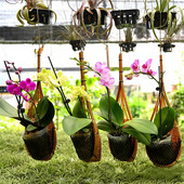 Kézzel készített bambusz szőtt akasztós kosár beltéri/kültéri függő ültetőgép szőtt kosár virágtartó kerti szőlő cserepes növénytartó