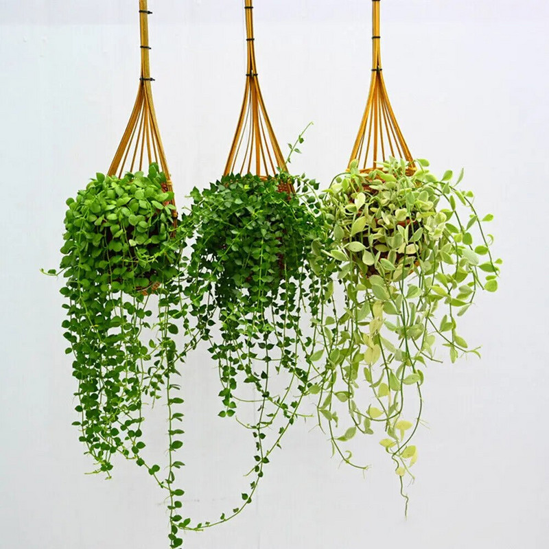 Kézzel készített bambusz szőtt akasztós kosár beltéri/kültéri függő ültetőgép szőtt kosár virágtartó kerti szőlő cserepes növénytartó