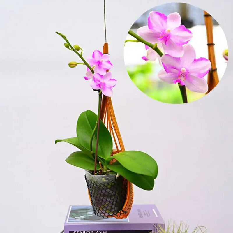 Kézzel készített bambusz szőtt akasztós kosár beltéri/kültéri függő ültetőgép szőtt kosár virágtartó kerti szőlő cserepes növénytartó