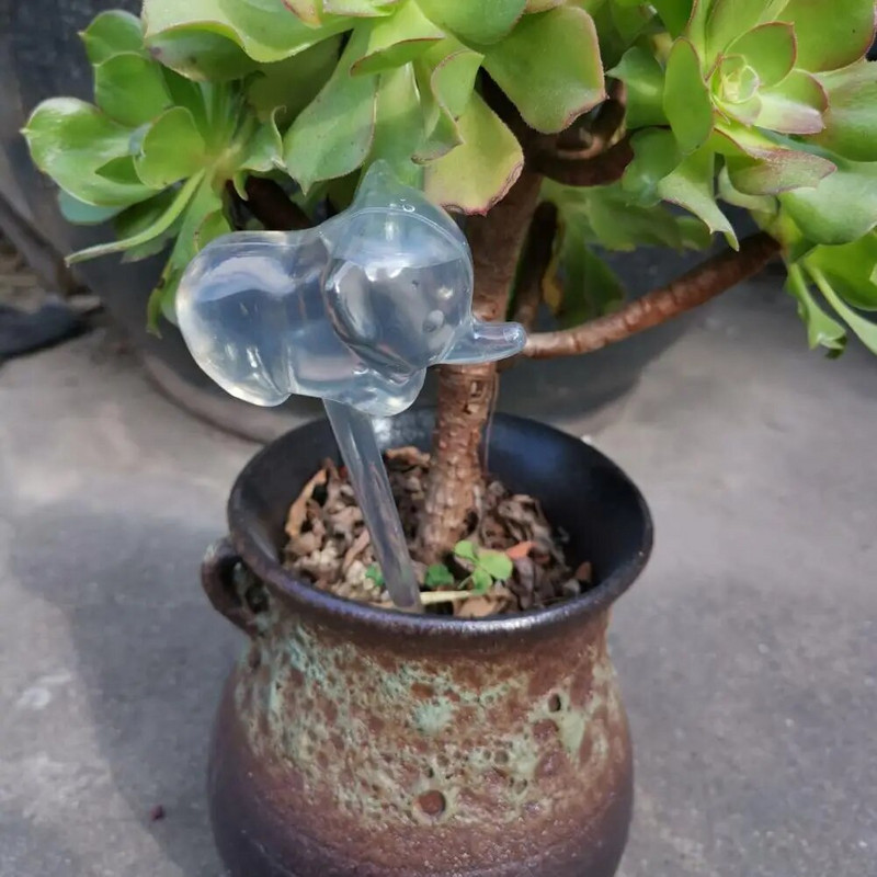 2db önitató gömb nagy kapacitású átlátszó elefánt panda csibe automata növényi öntöző hagymák для сада и огорода