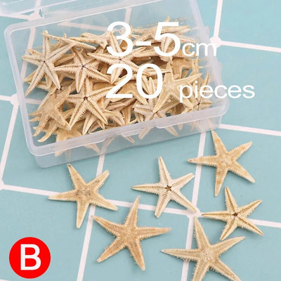 Boxed Natural Starfish Natuurlijke Zeester Seashell Beach Craft Natuurlijke Zee Sterren Diy Strand Bruiloft Decoratie Ambachten