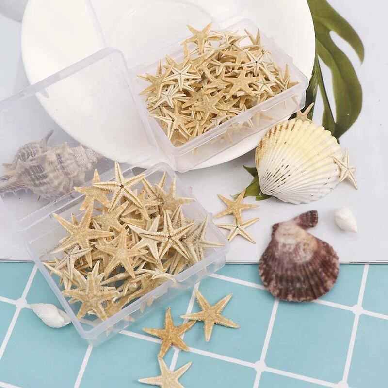 Boxed Natural Starfish Natuurlijke Zeester Seashell Beach Craft Natuurlijke Zee Sterren Diy Strand Bruiloft Decoratie Ambachten