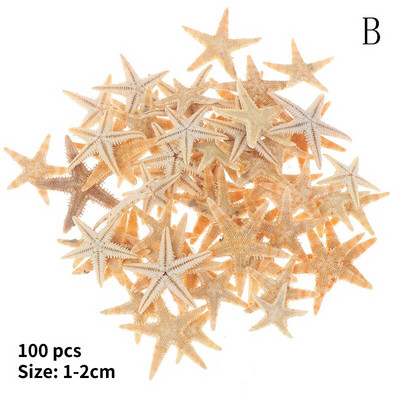 1–3 cm 1 DĖŽĖS mišinio stiliaus natūralūs kriauklės natūralūs kriauklės kriauklės Mini kriauklė Kukurūzų sraigtiniai sienų apdaila „Pasidaryk pats“ akvariumo kraštovaizdžio kriauklės