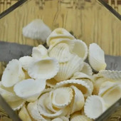 50 vnt. mados akvariumo kraštovaizdžio kriauklės papuošalai amatų dekoras Natūralūs kriauklės kriauklės, kukurūzų sraigtai, sienų apdaila